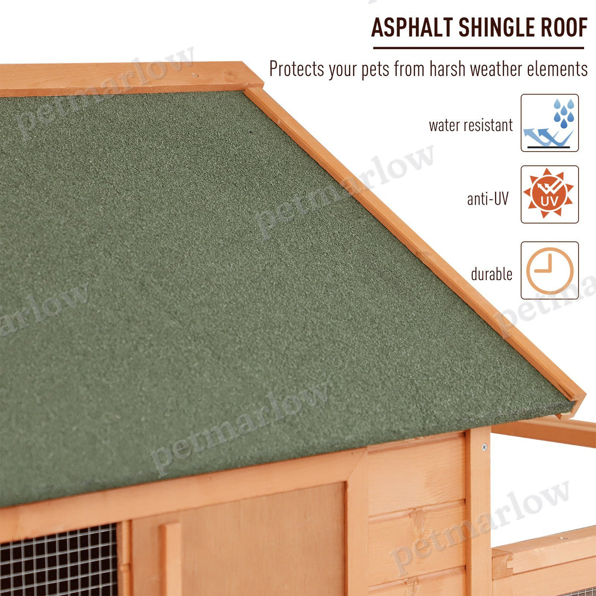 Large Chicken Coop with Nesting Box and Outdoor Run – view 3