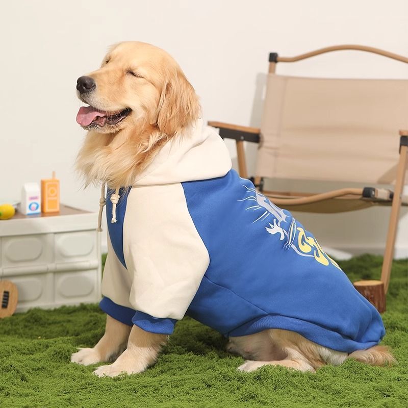 Large Dog Border Collie Pet Sweater – 3XL / Blue