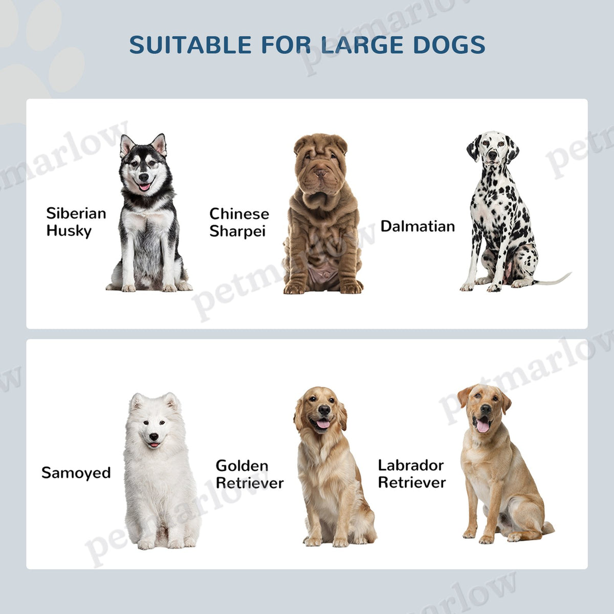 Large Elevated Dog Bowls with Storage Cabinet – view 6