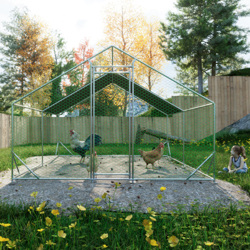 Large Metal Chicken Coop with Walk-In Design for Poultry