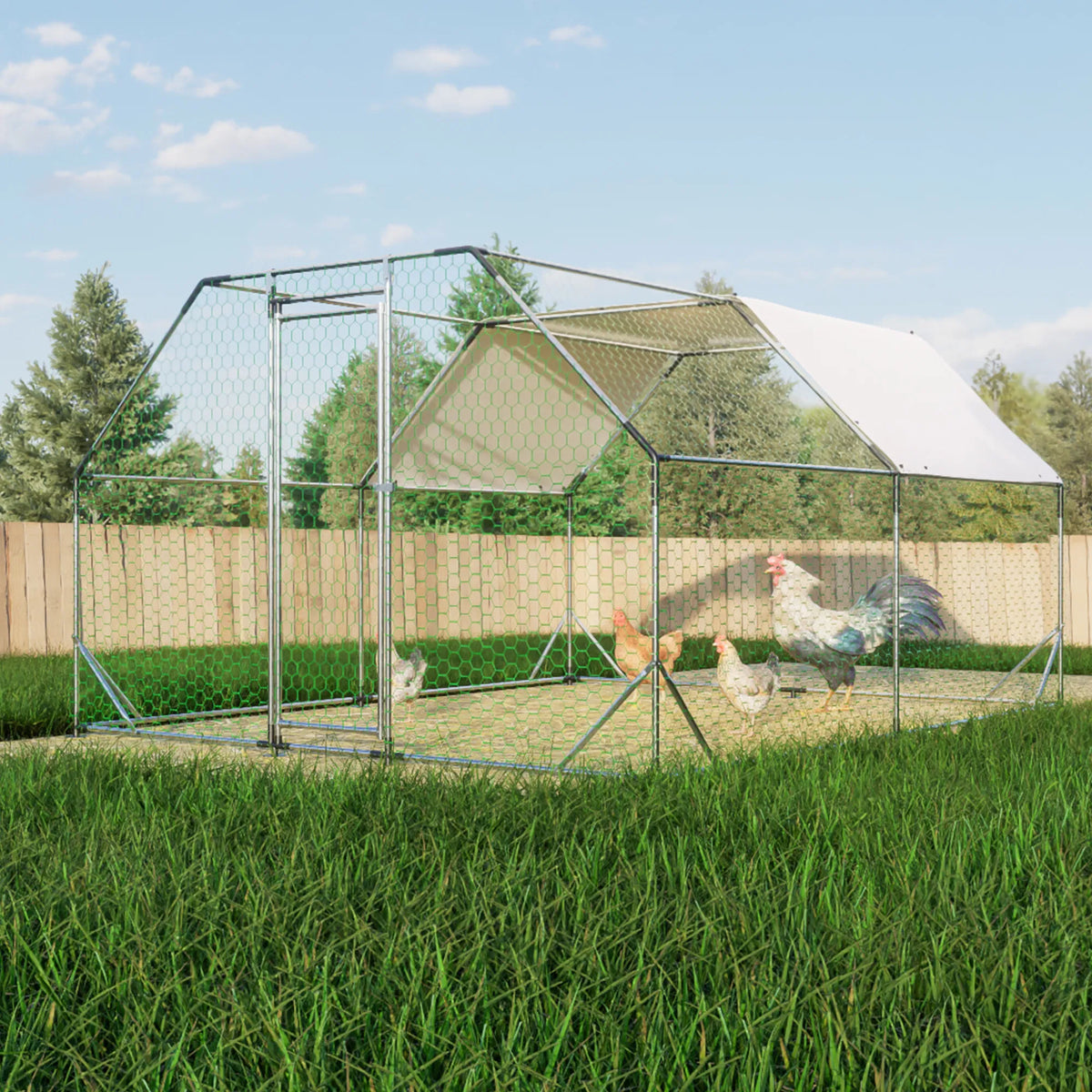 Large Metal Walk-In Chicken Coop for Poultry