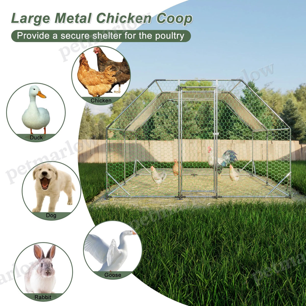 Large Metal Walk-In Chicken Coop for Poultry – view 5