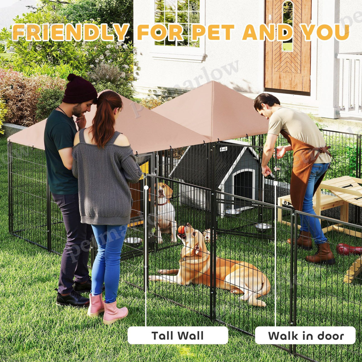 Large Outdoor Dog Kennel with Dual Rooms for Play and Privacy – view 6