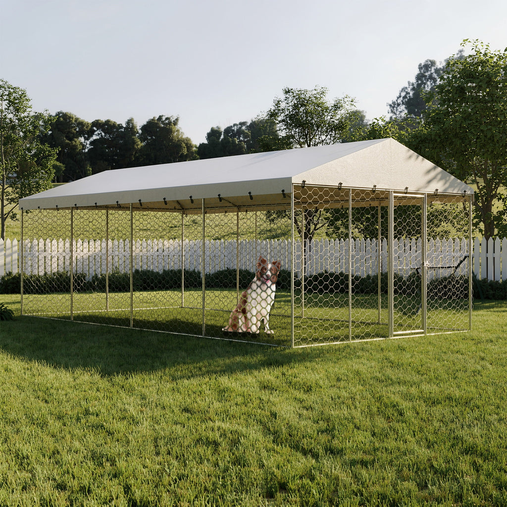 Large Outdoor Dog Kennel with Canopy for All-Weather Protection