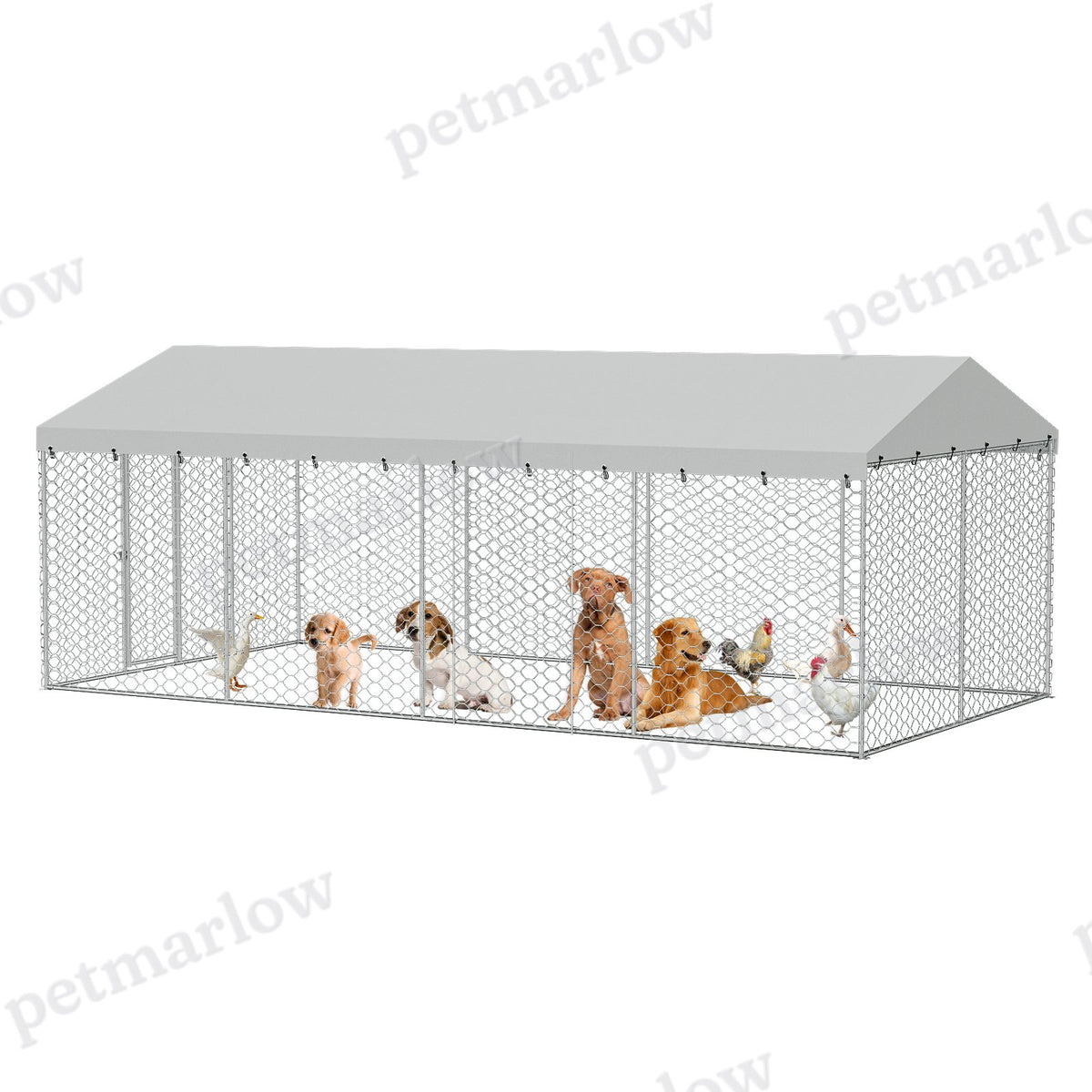 Large Outdoor Dog Kennel with Canopy for All-Weather Protection – view 5