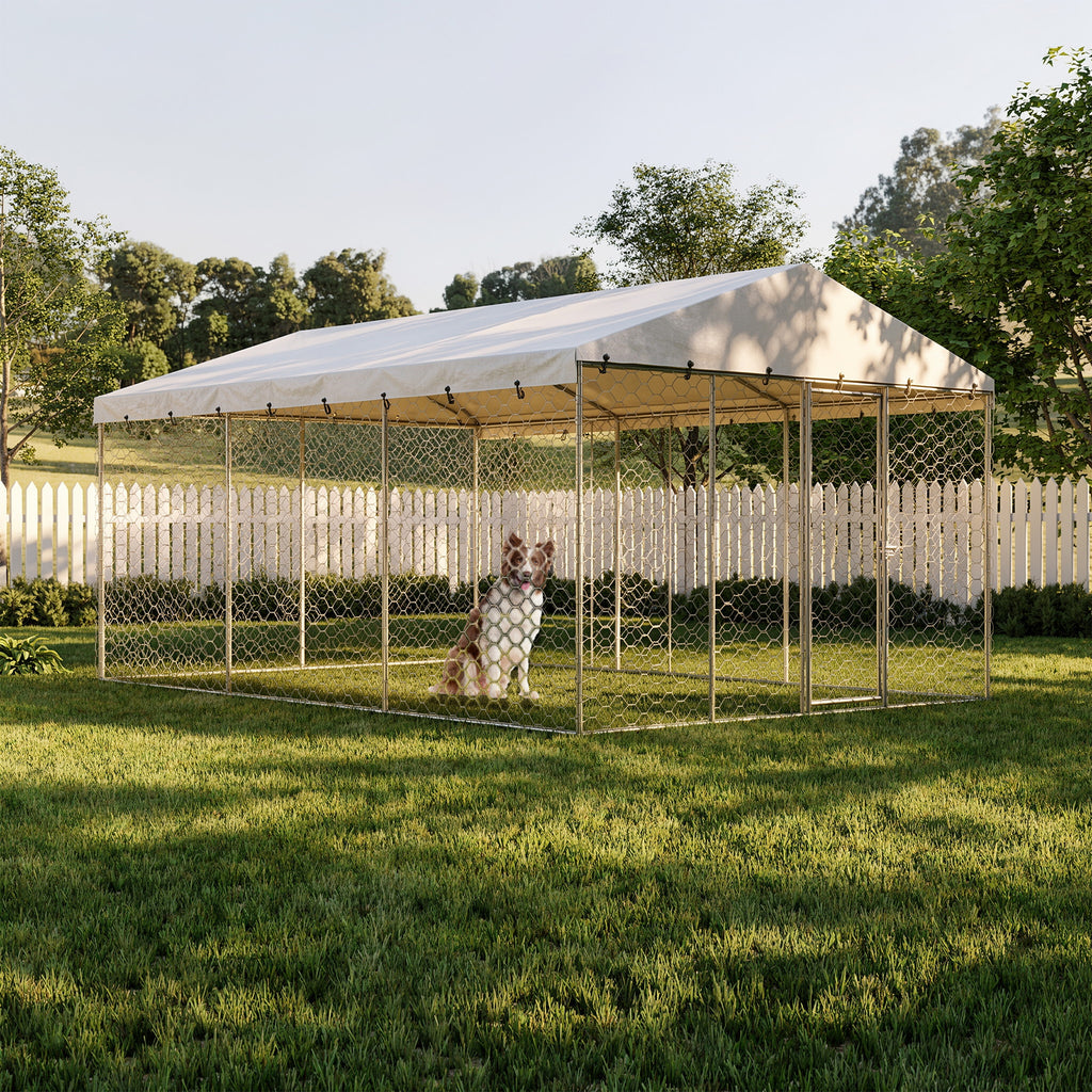 Large Outdoor Dog Kennel with Canopy for All-Weather Use