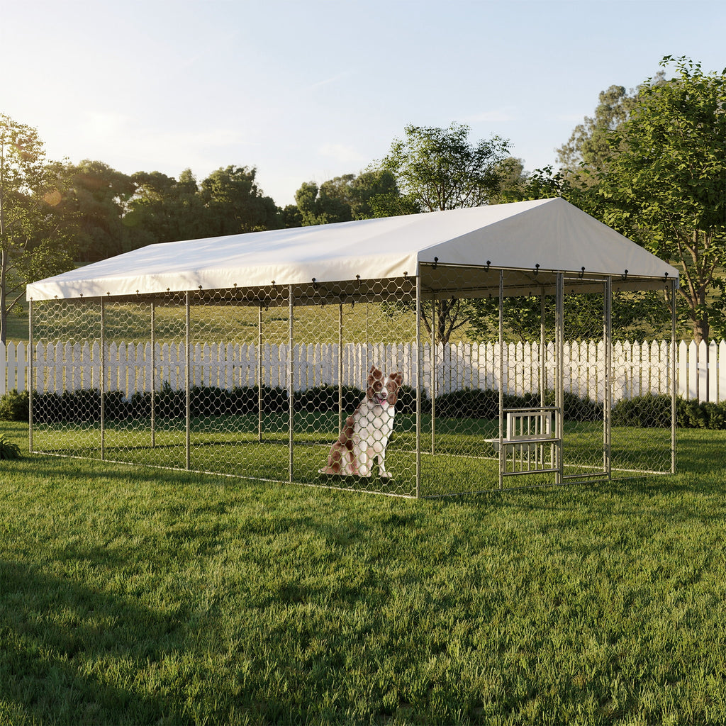 Large Outdoor Dog Kennel with Canopy for Comfort and Security