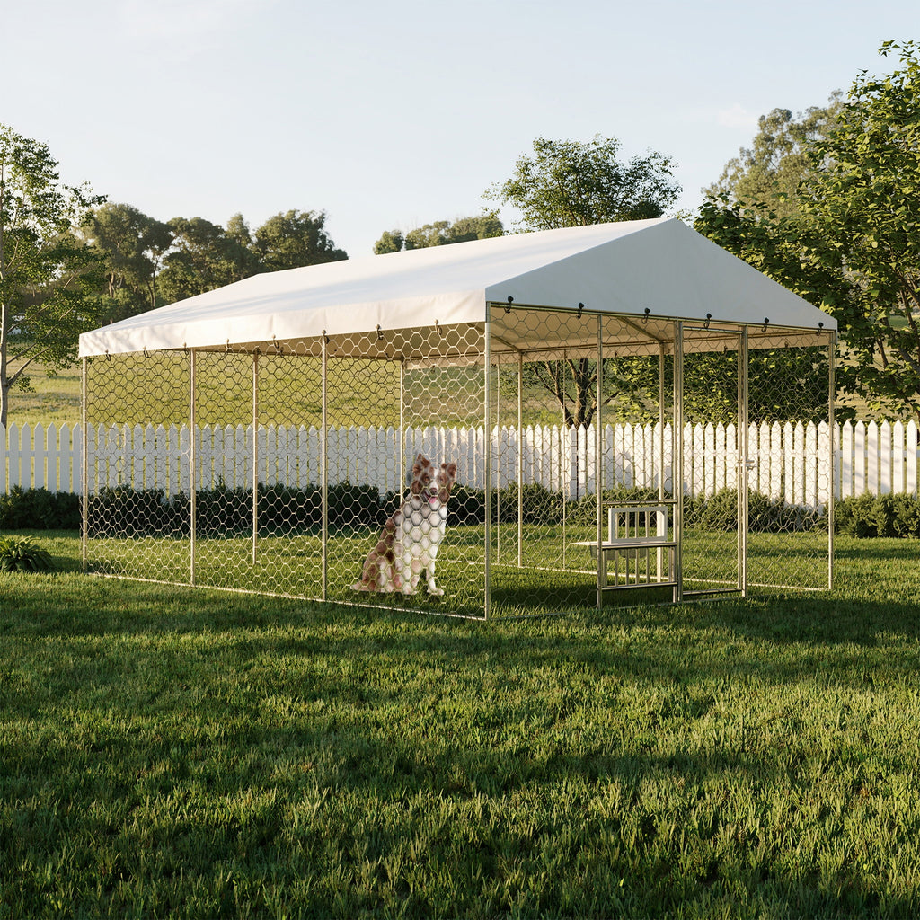 Large Outdoor Dog Kennel with Canopy for Comfort and Security