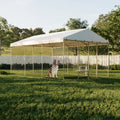 Large Outdoor Dog Kennel with Canopy for Comfort and Security