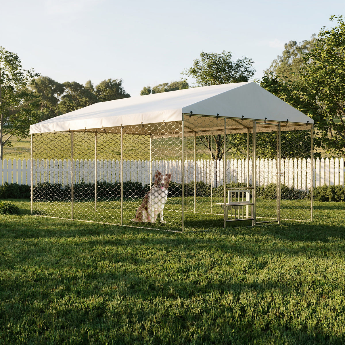 Large Outdoor Dog Kennel with Canopy for Comfort and Security