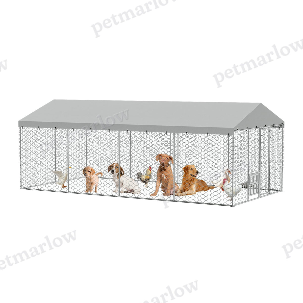 Large Outdoor Dog Kennel with Canopy for Comfort and Security – view 2