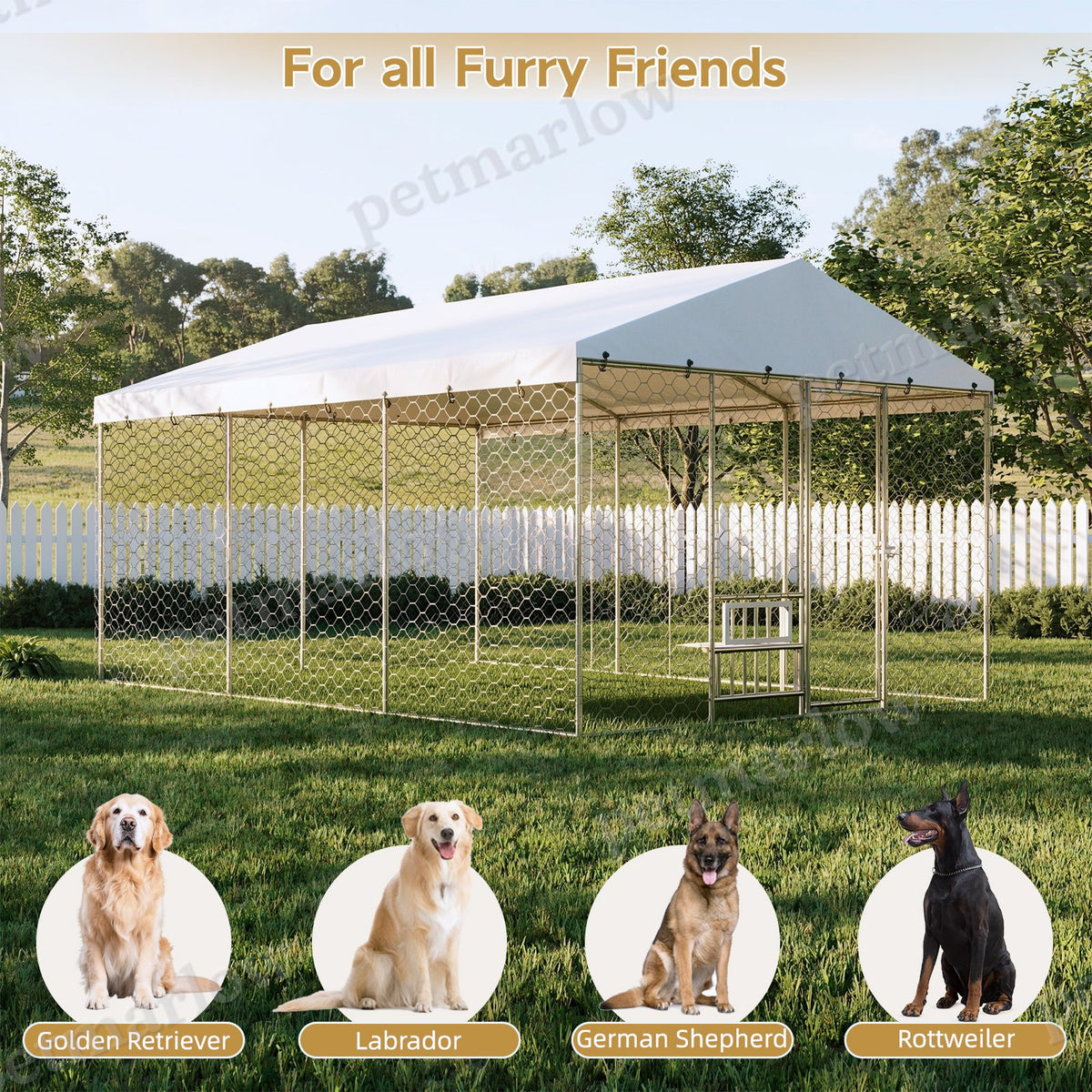 Large Outdoor Dog Kennel with Canopy for Comfort and Security – view 3