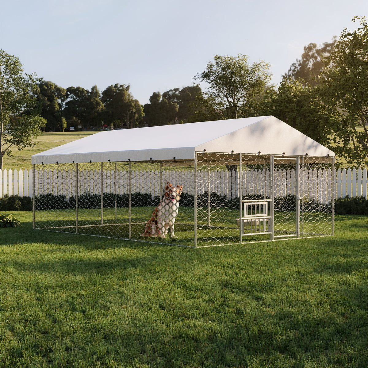 Large Outdoor Dog Kennel with Canopy for Comfortable Living Space