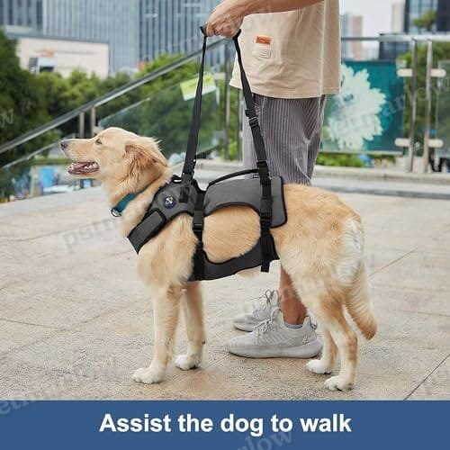 Large Pet Rehabilitation Lifts Vest Adjustable Breathable Straps for Old – view 3