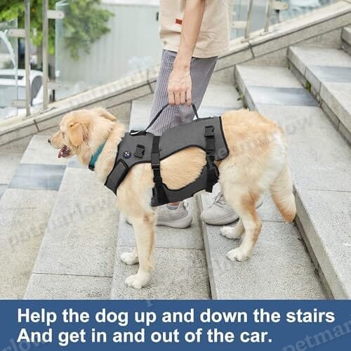 Large Pet Rehabilitation Lifts Vest Adjustable Breathable Straps for Old – view 4