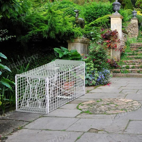 Live Animal Trap Cage for Cats and Small Animals – view 2