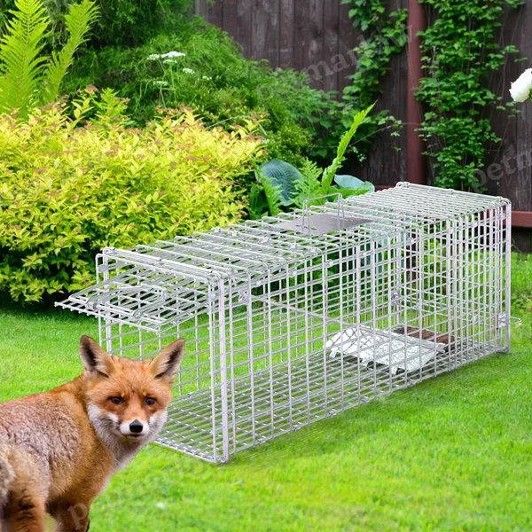 Live Animal Trap Cage for Cats and Small Animals – view 4
