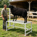 Livestock Stand with Adjustable Height for Grooming – view 2