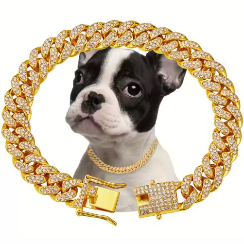 Luxury Alloy Dog Chain Choker with Sparkling Diamonds – Gold / S