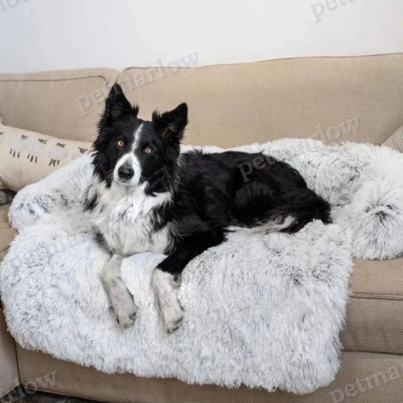Luxury Dog Sofa – view 6