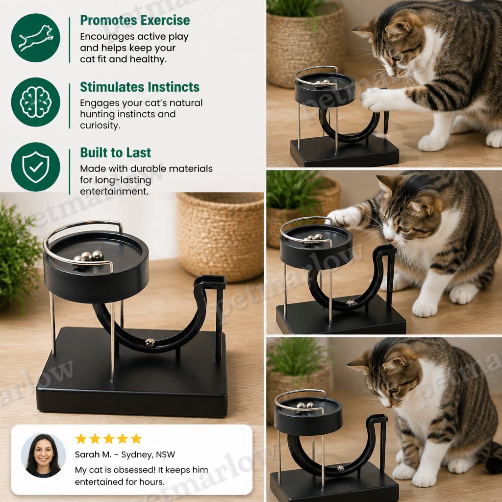 Marble run cat toy for endless fun – view 5