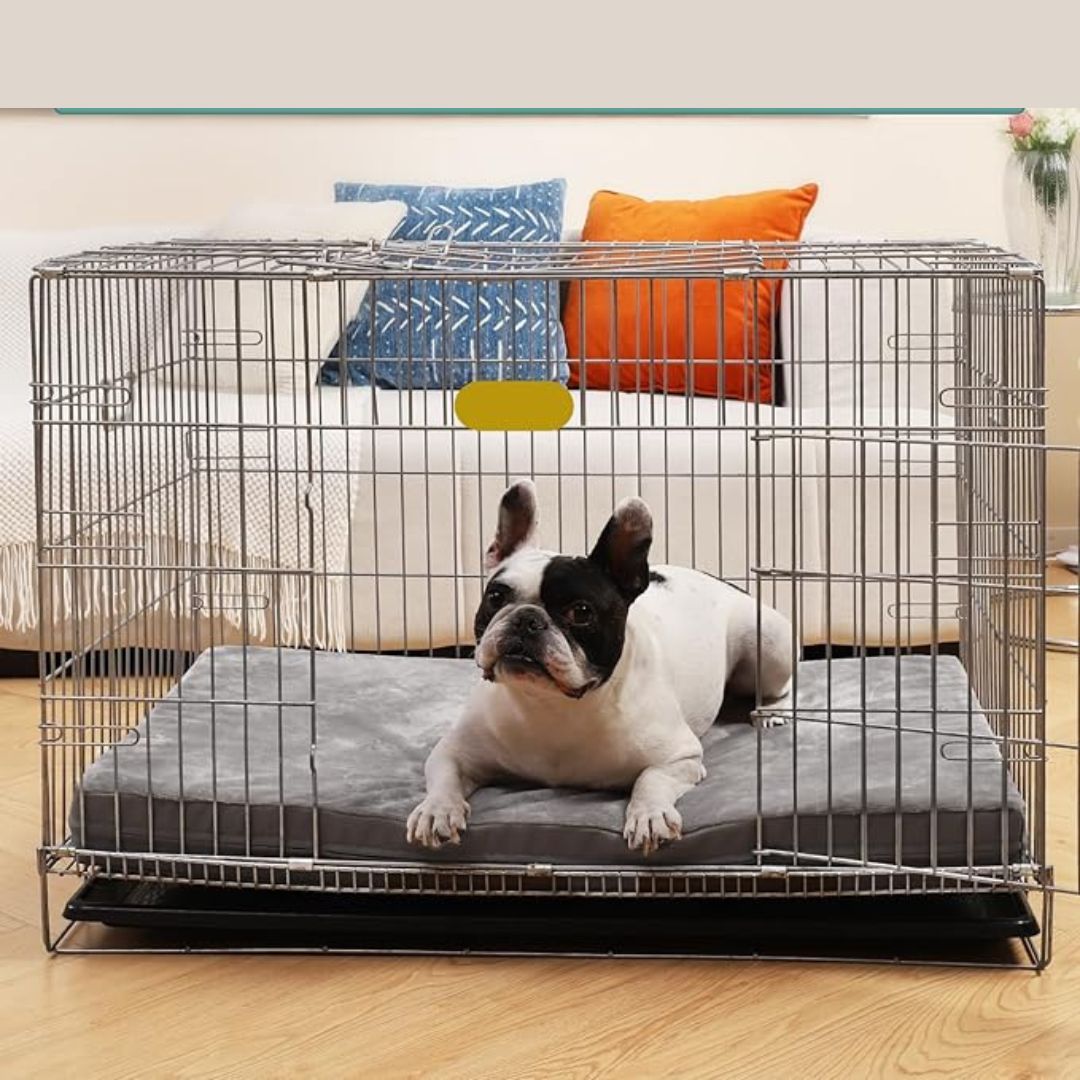Memory Foam Dog Cushion