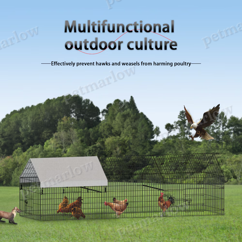 Metal Chicken Coop for Poultry Farming Outdoors – view 3