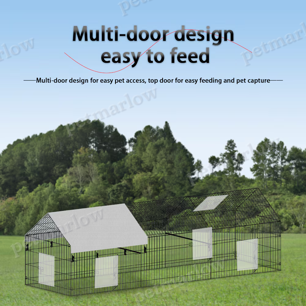 Metal Chicken Coop for Poultry Farming Outdoors – view 5