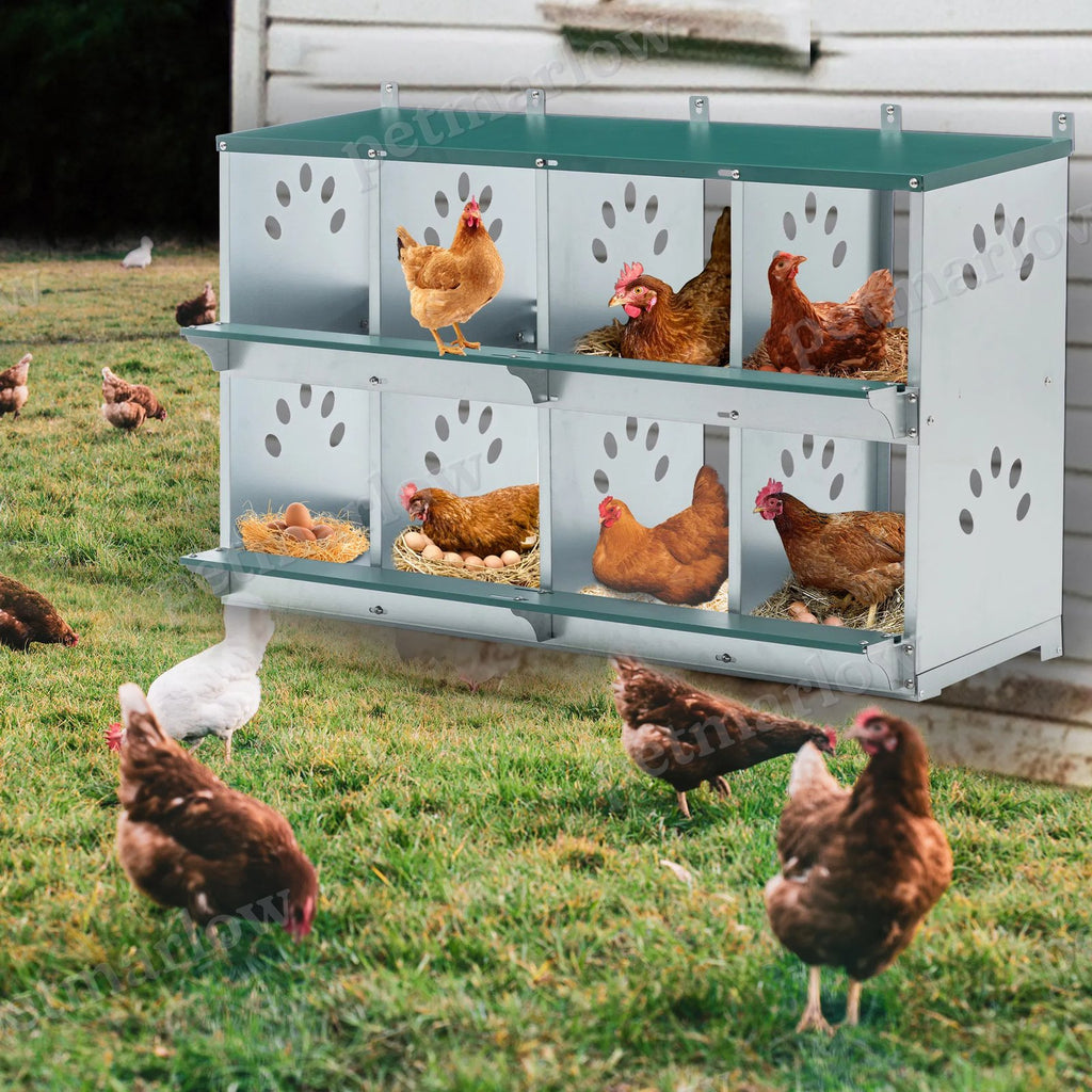 Metal Chicken Nesting Boxes for Comfortable Egg Laying – view 3
