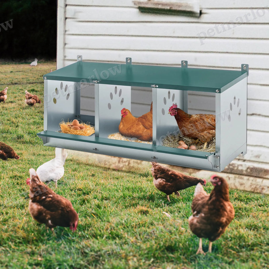 Metal Chicken Nesting Boxes for Comfortable Egg Laying – view 4