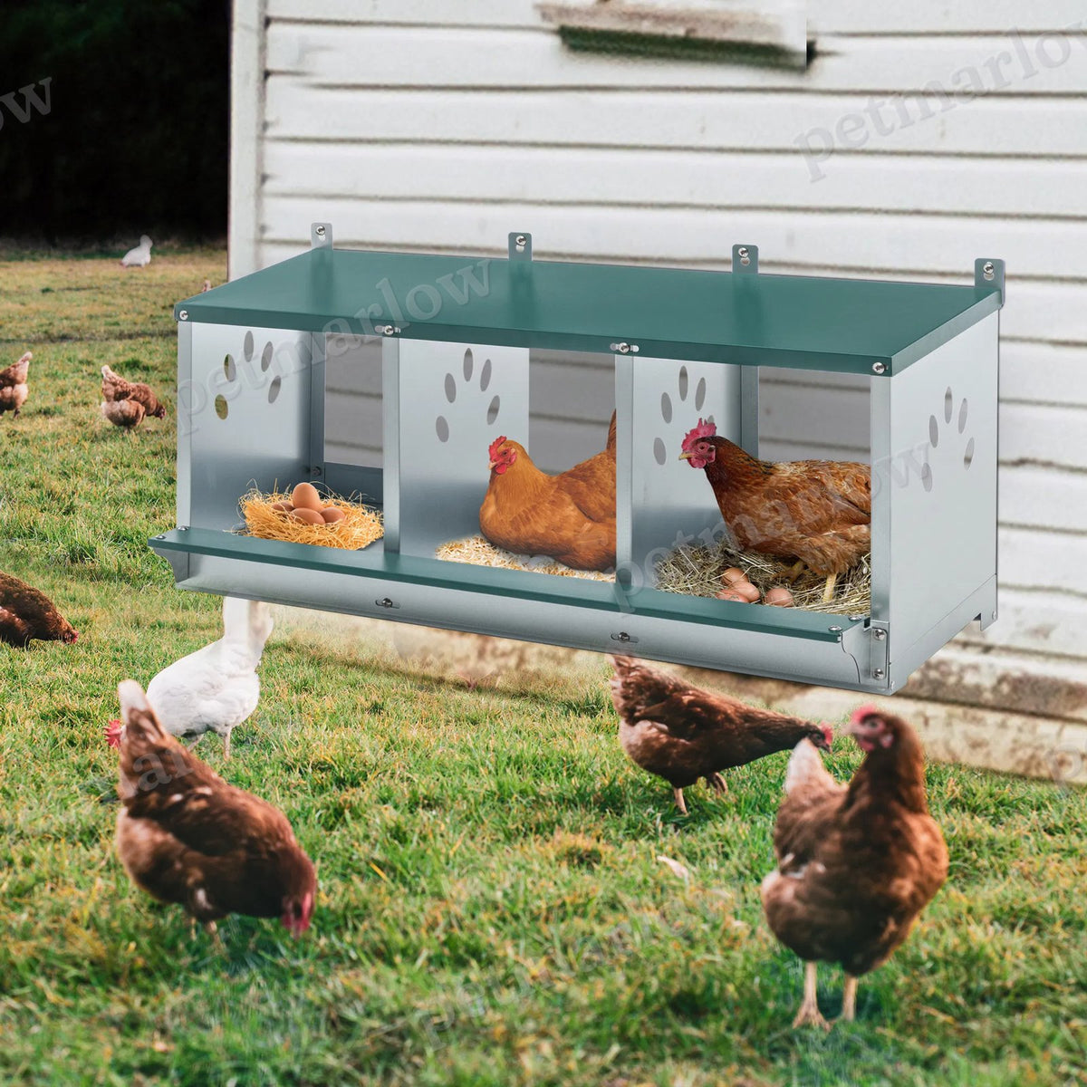 Metal Chicken Nesting Boxes for Comfortable Egg Laying – view 4