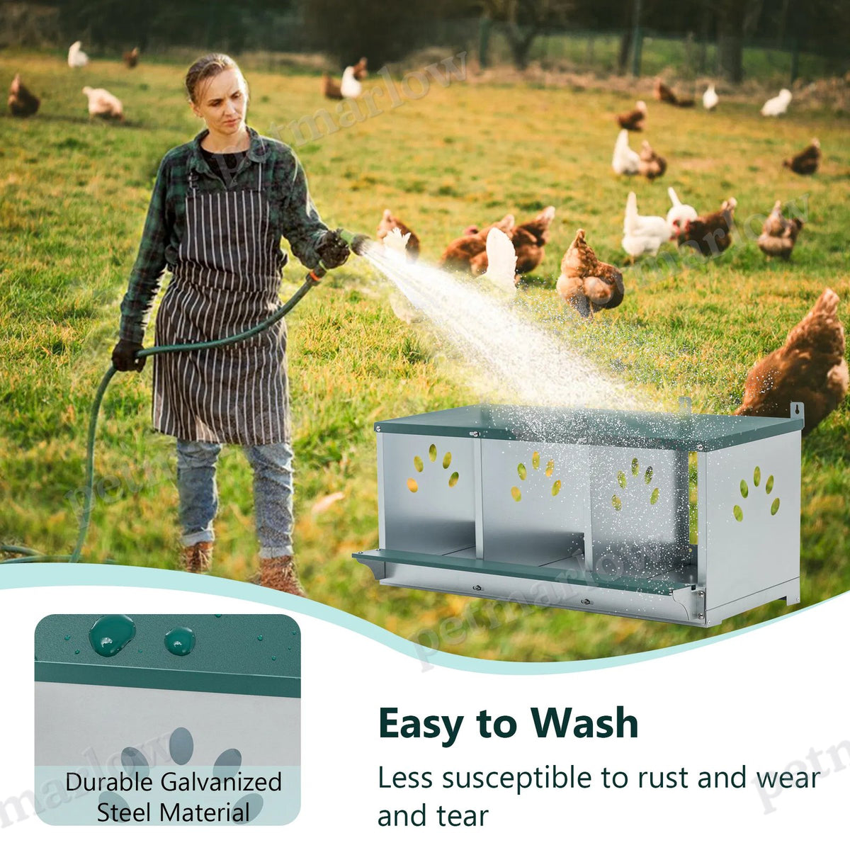 Metal Chicken Nesting Boxes for Comfortable Egg Laying – view 5