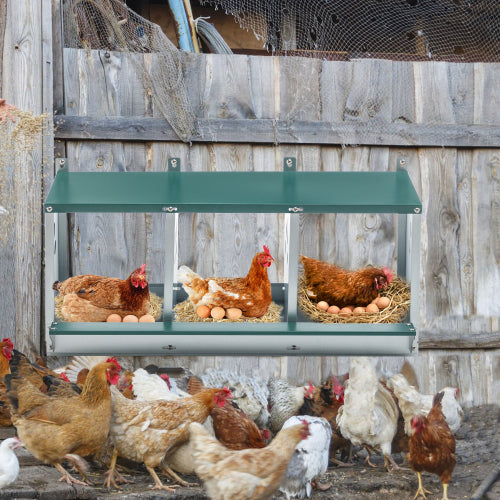 Metal Nesting Boxes for Chickens - 3 Compartment Design