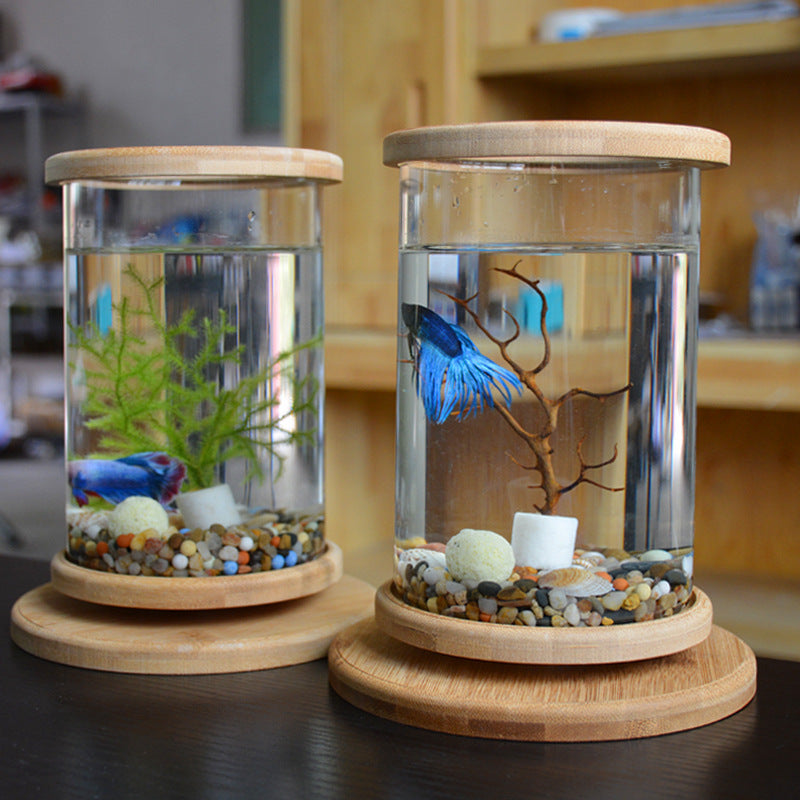 Mini Glass Aquarium With Bamboo Base Office Desktop Fish Bowl