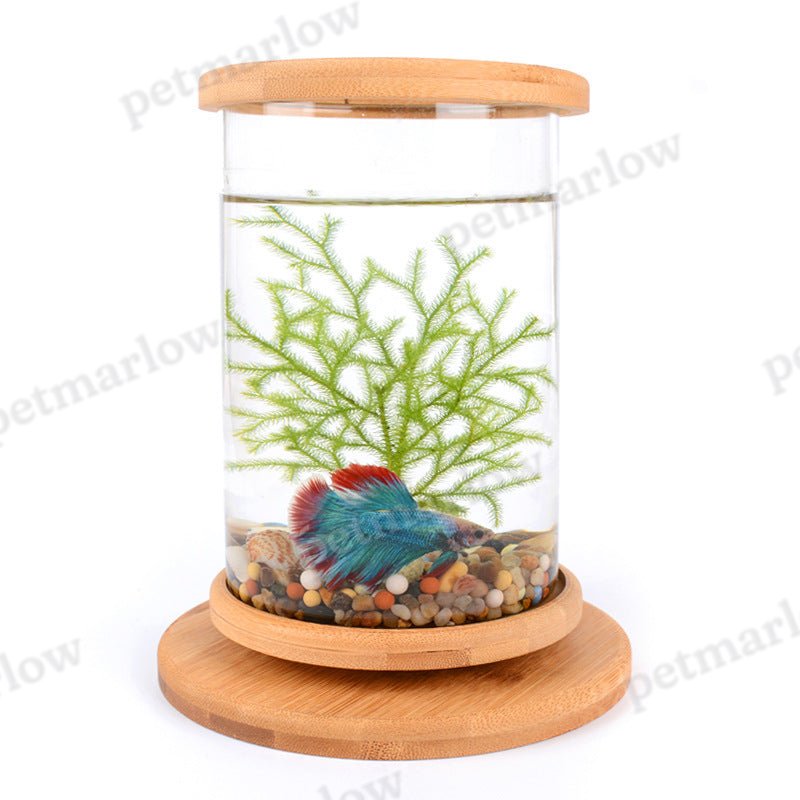 Mini Glass Aquarium With Bamboo Base Office Desktop Fish Bowl – view 3