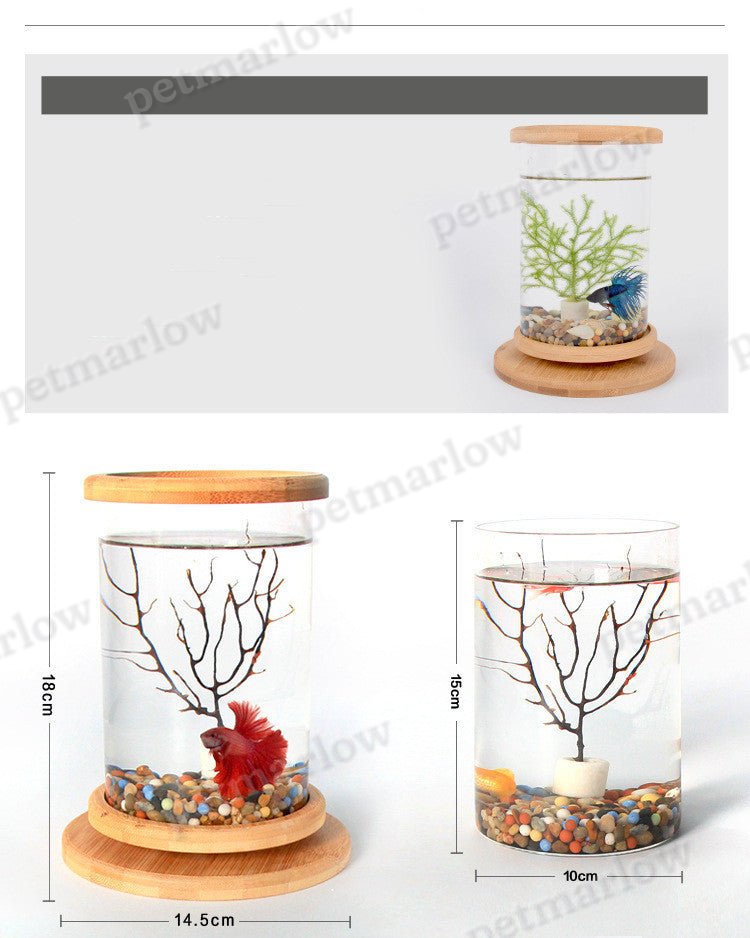 Mini Glass Aquarium With Bamboo Base Office Desktop Fish Bowl – view 4
