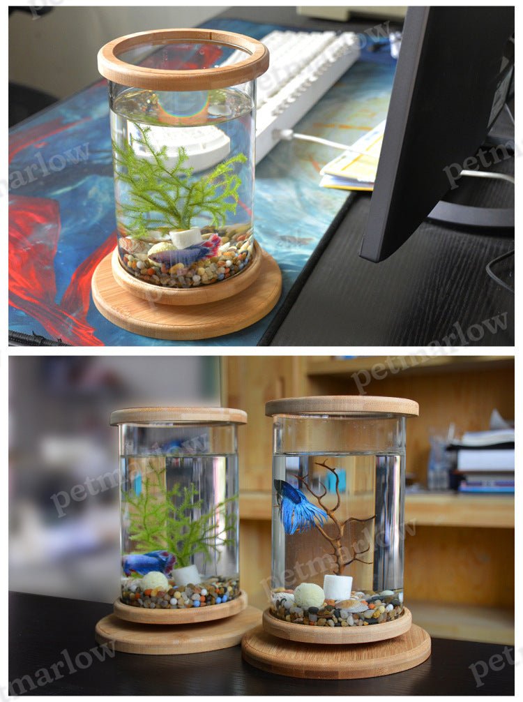 Mini Glass Aquarium With Bamboo Base Office Desktop Fish Bowl – view 6
