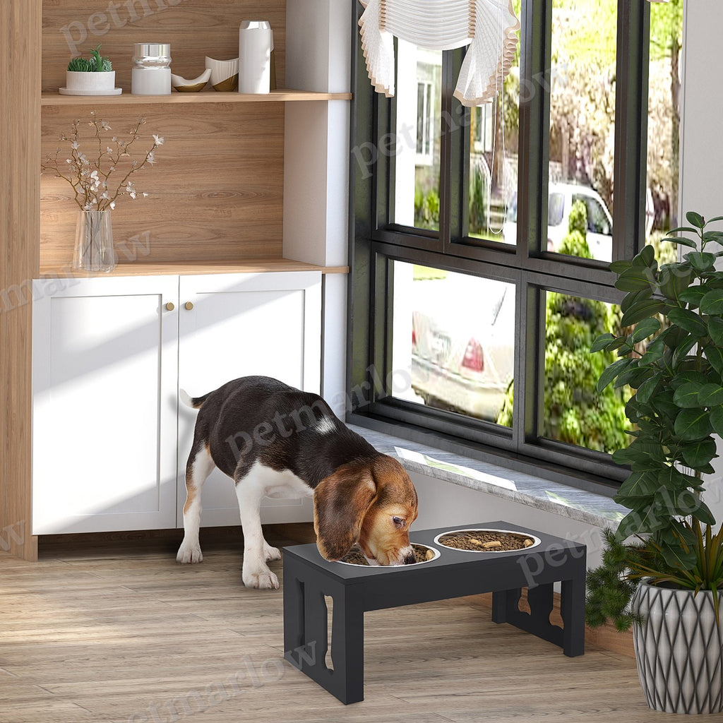 Modern Decorative Raised Dog Bowls for Comfortable Feeding – view 6