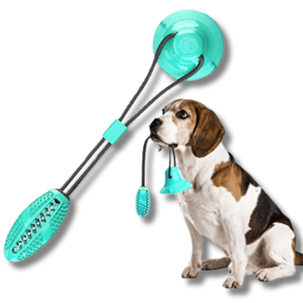 Dog Molar Chew and Pull Toy for Dental Health