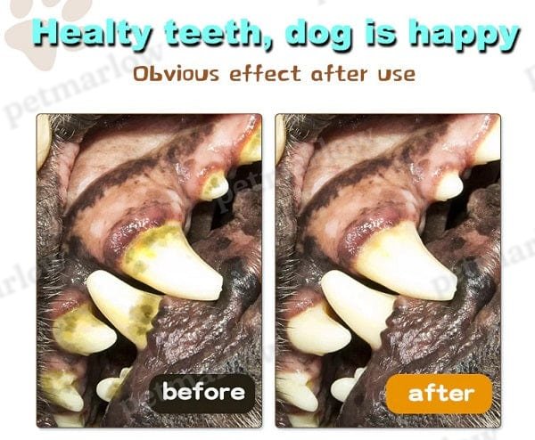Dog Molar Chew and Pull Toy for Dental Health – view 4