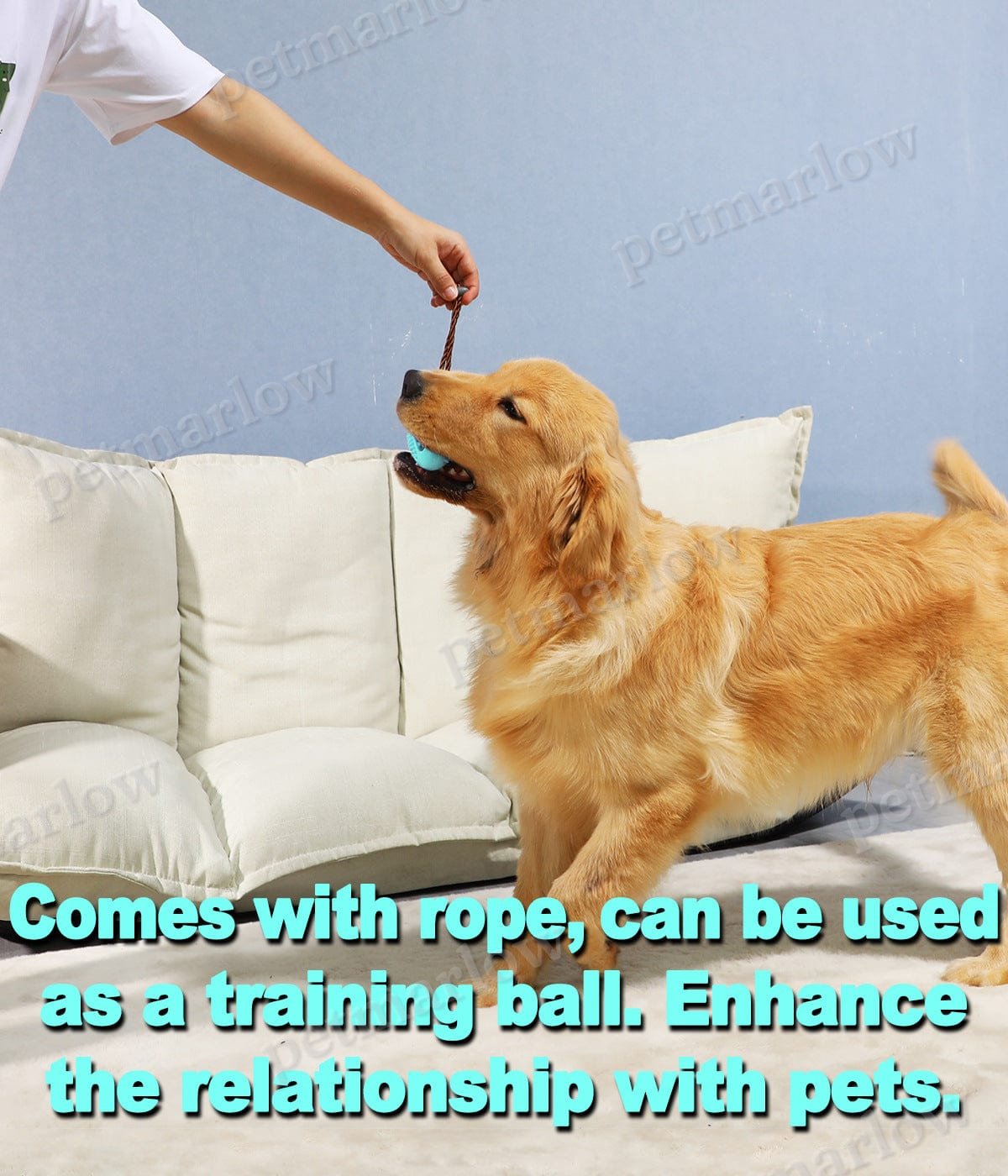 Dog Molar Chew and Pull Toy for Dental Health – view 5