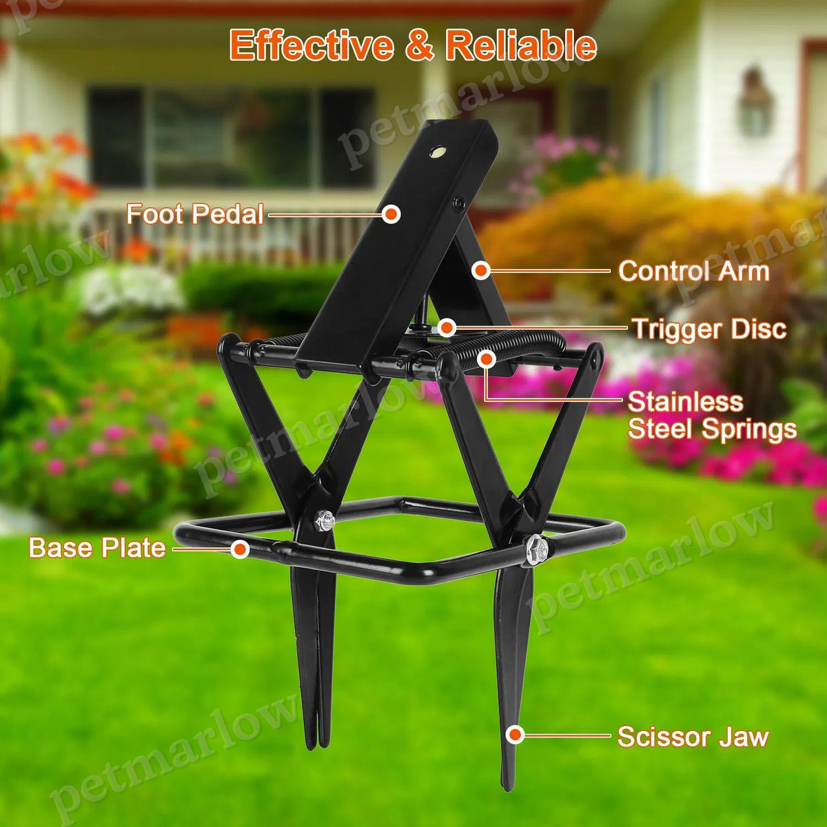 Mole Scissor Trap - Easy Setup, Humane Instant Kill, Safe for Pets – view 6