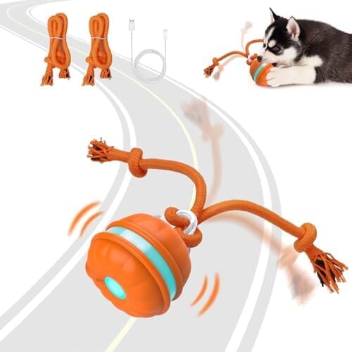 Motion Activated Dog Ball Automatic Rolling Ball Toys for Puppy