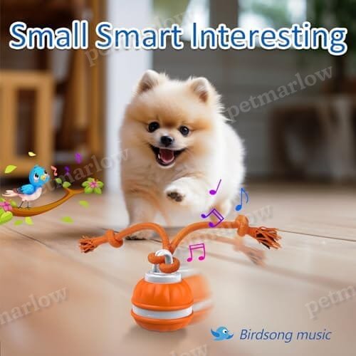 Motion Activated Dog Ball Automatic Rolling Ball Toys for Puppy – view 5
