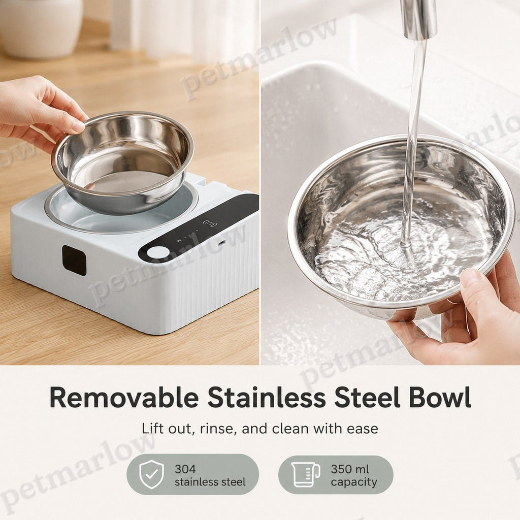 Motion-Sensing Covered Stainless Steel Cat Bowl (For Cats & Small Dogs) – view 6