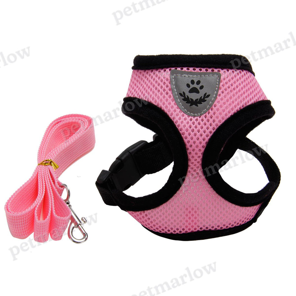Multi-Color Dog Harness for Stylish Walks – view 3