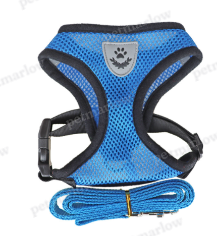 Multi-Color Dog Harness for Stylish Walks – view 6