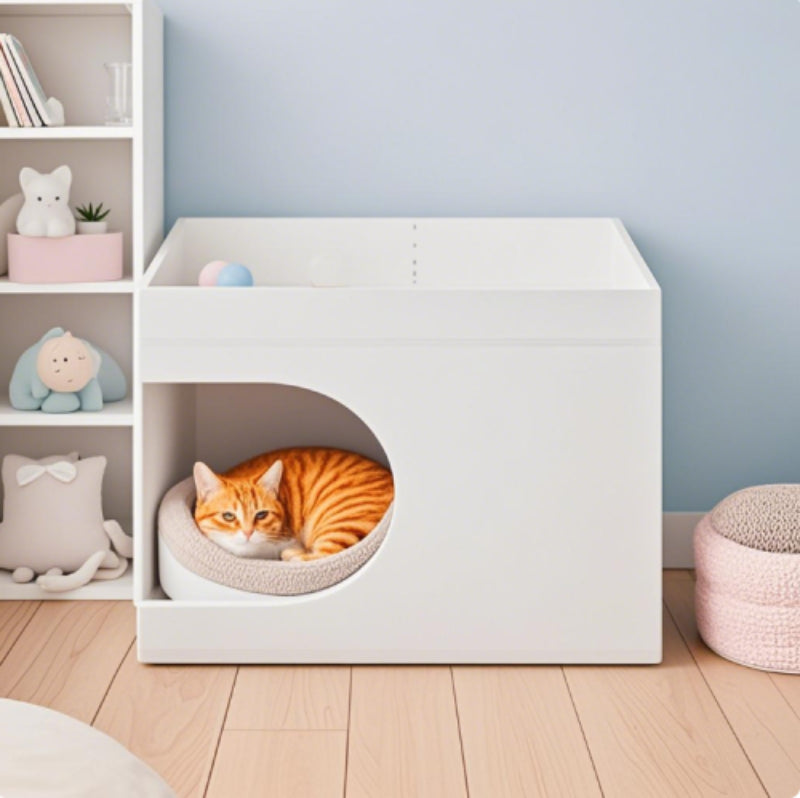 Multi-Functional Cat Station for Small Spaces