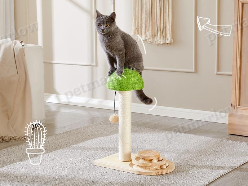 Mushroom Cat Scratching Post with Interactive Toy – view 5