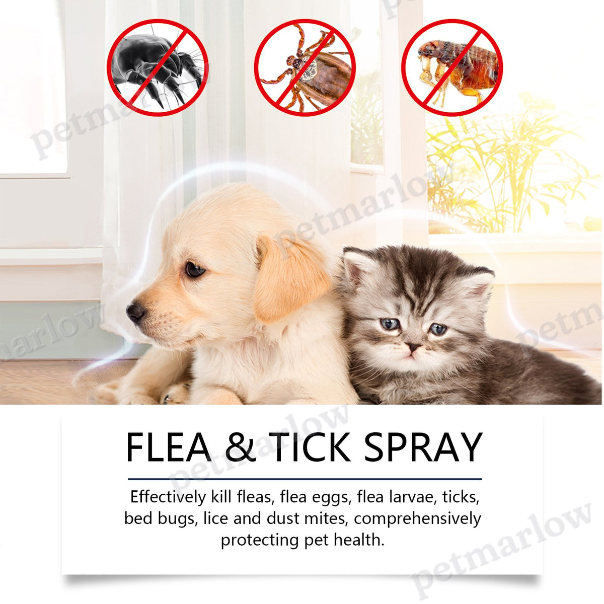 Natural Flea & Tick Spray for Dogs and Cats 100ml – view 4